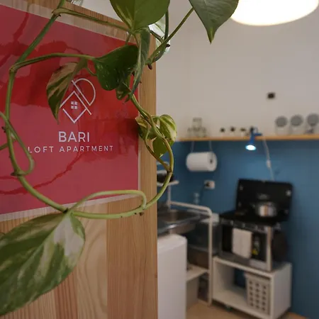 Apartamento Loft In Downtown